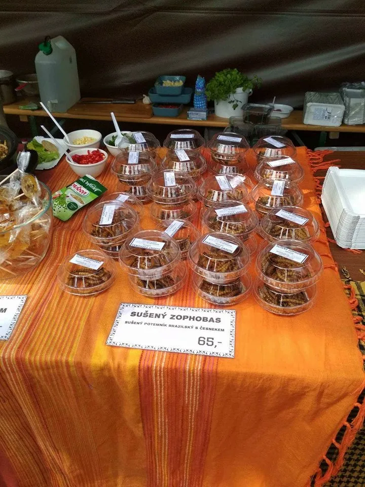 extrem food festival6