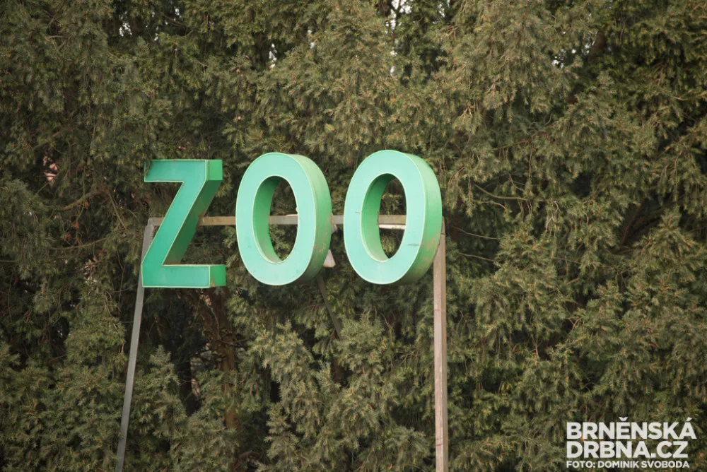 Zoo Brno