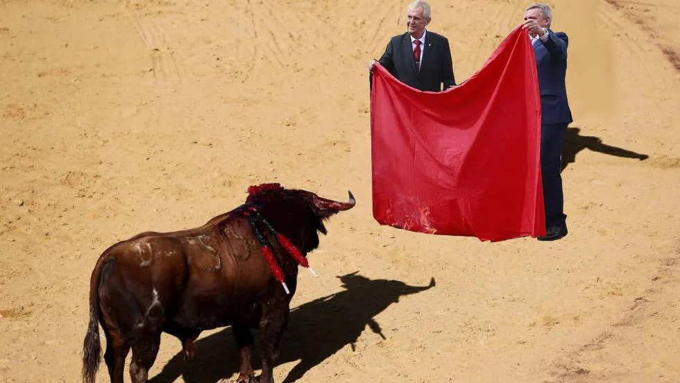 zeman trenýrky