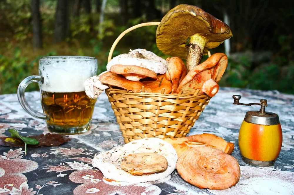 ilustrační foto