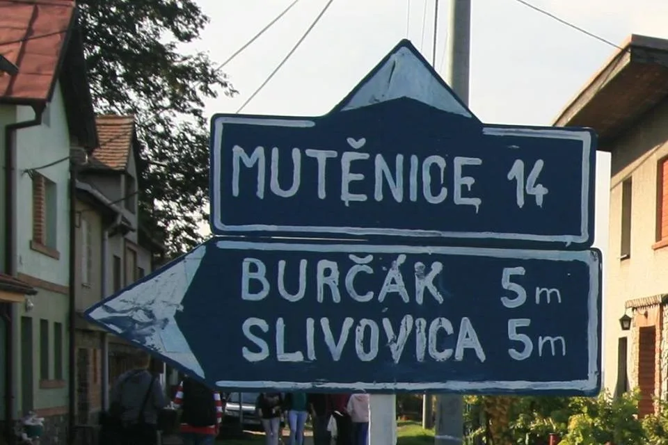 ilustrační foto