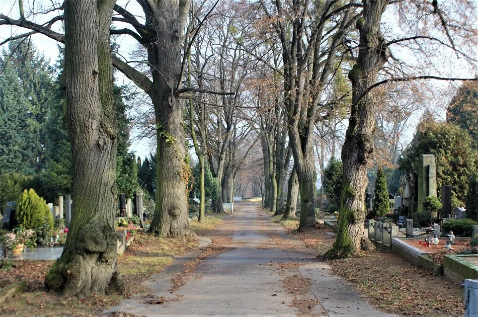 Ústřední hřbitov Brno