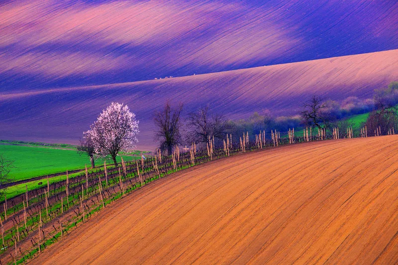 Krajina okolo Šardic