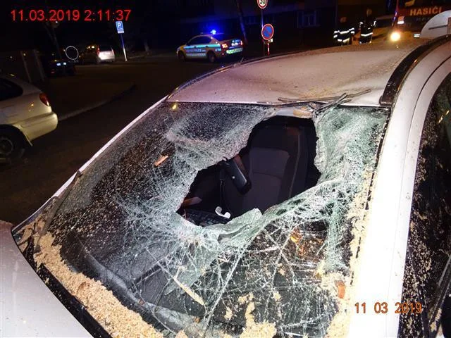 Zdroj: MP Brno