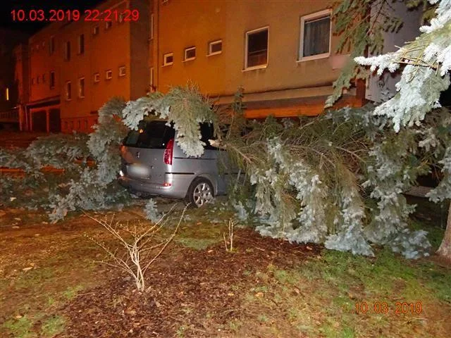 Zdroj: MP Brno