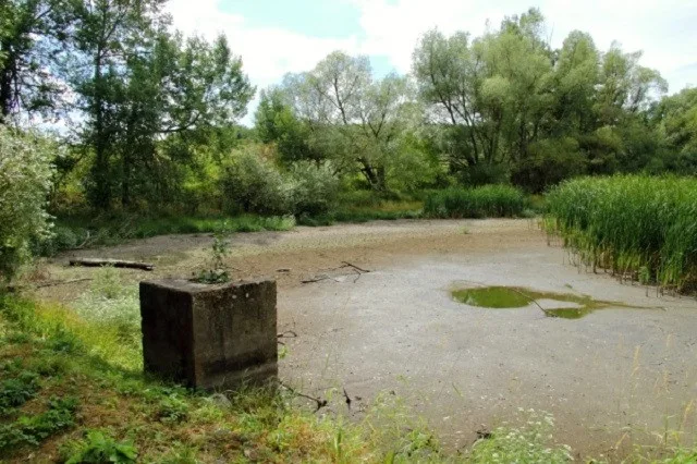 Čížovský malý rybník