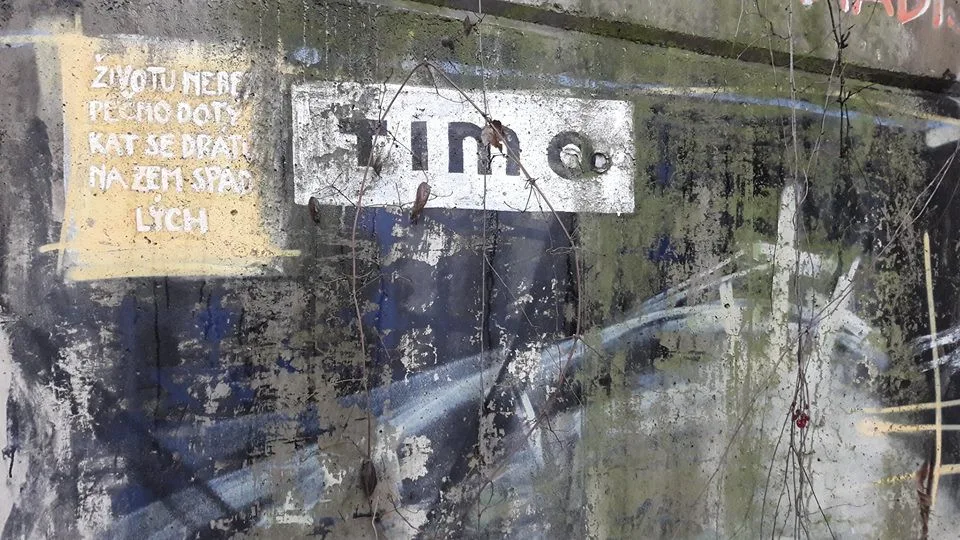 Timo