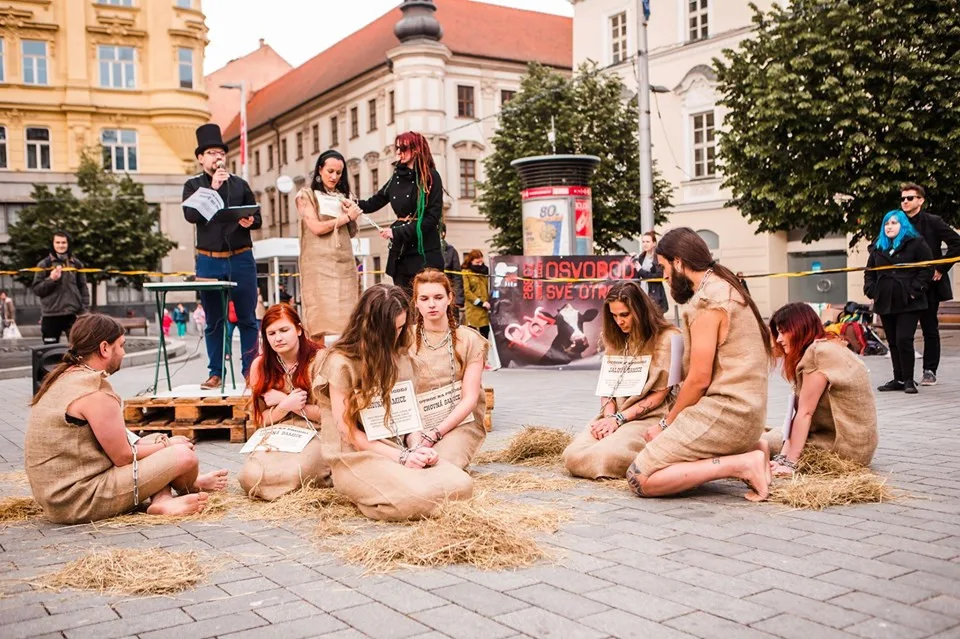 Ilustrační foto