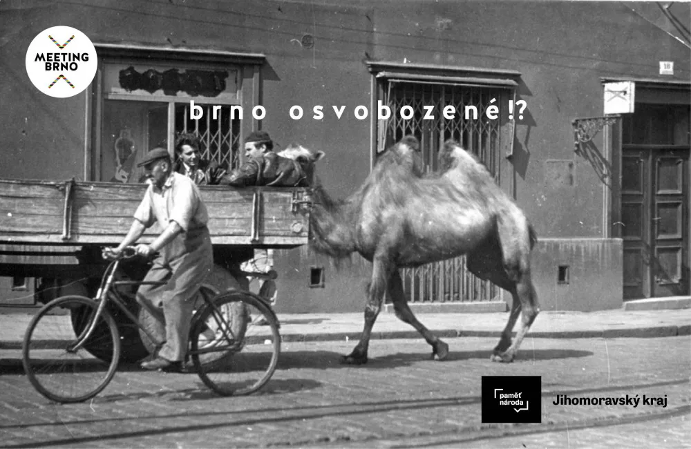 Brno osvobozené?