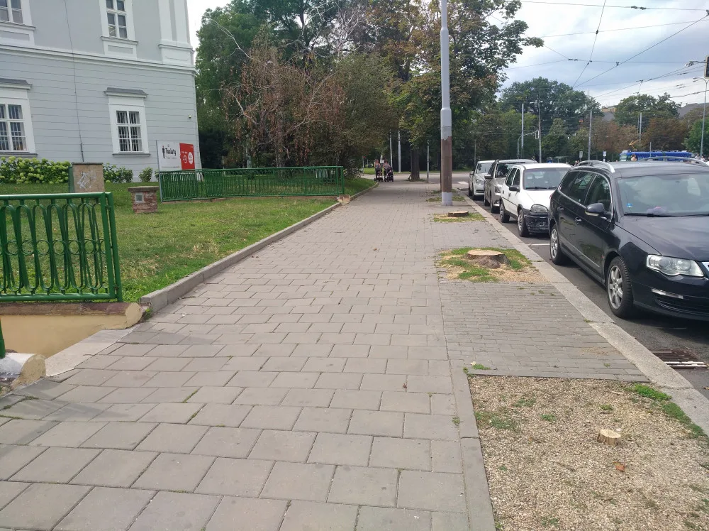 Pokácené stromy v Rooseveltově ulici
