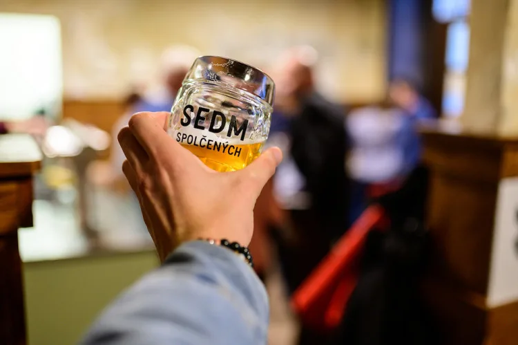 sedm spolčených9