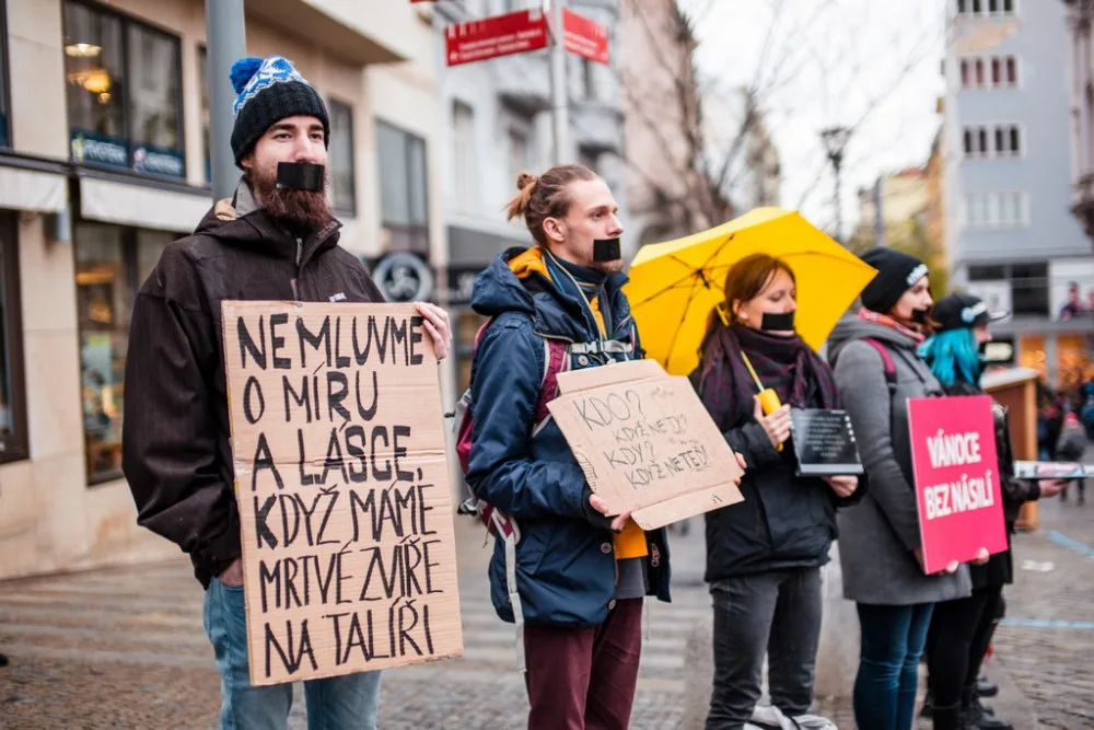 Autor: Lukáš Kubart