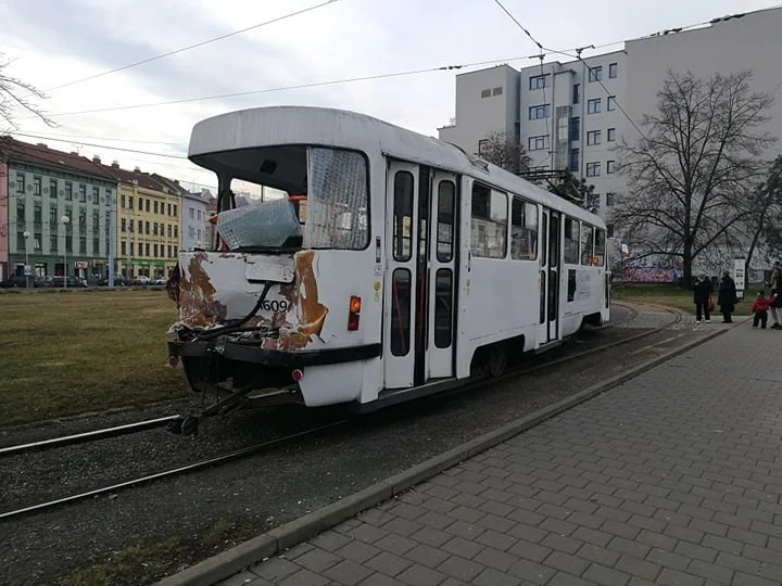 šalina bum16