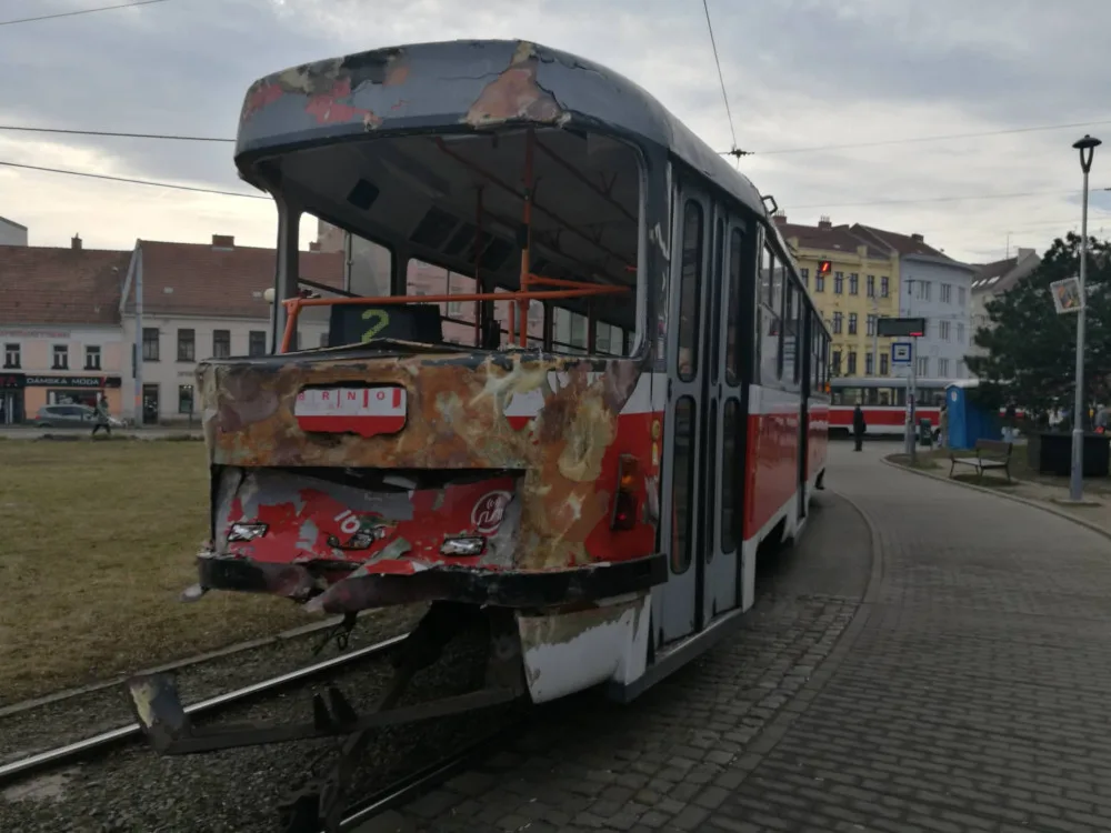 šalina bum12