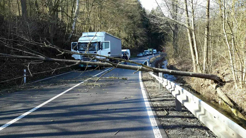 Spadlý strom komplikuje dopravu