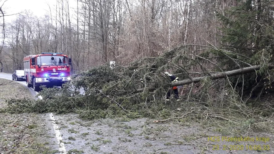 Hasiči převážně odstraňovali spadlé stromy.