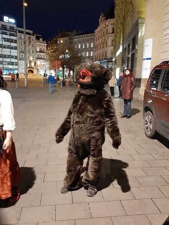 Fašank roztančil Brno