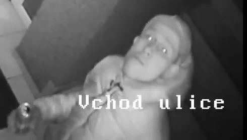 pátrání