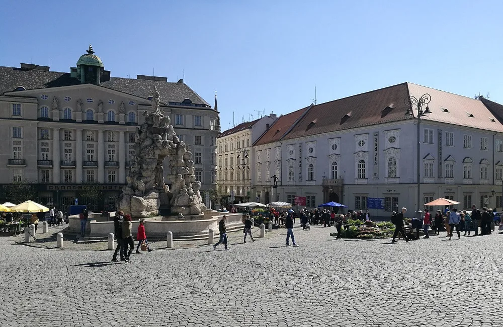 Zelňák opět žije. Na znovuotevřených trzích nakupují lidé od pondělí sazenice a zeleninu