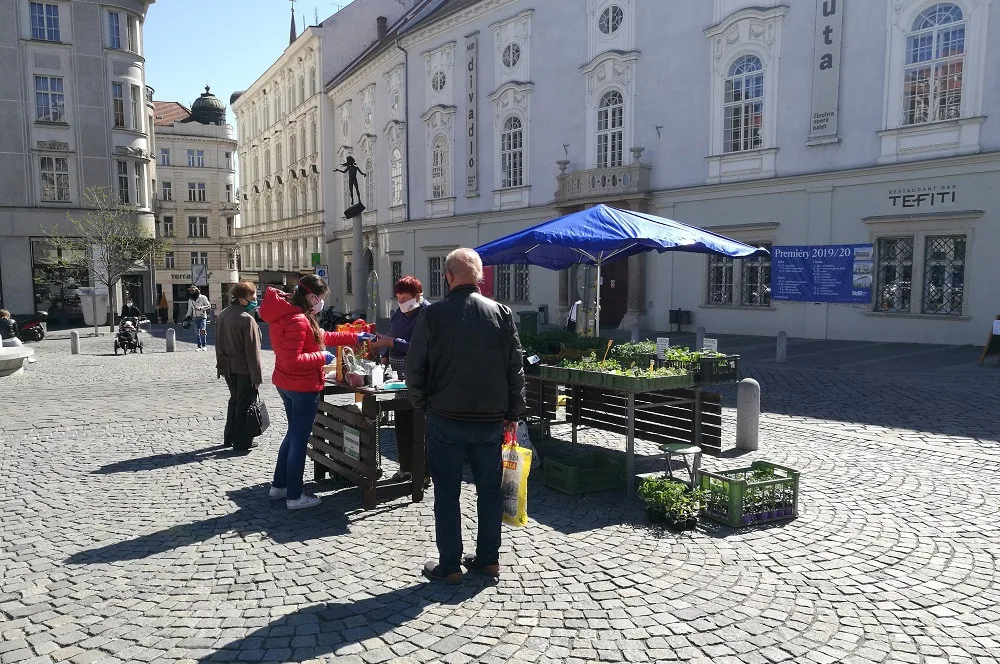 Zelňák opět žije. Na znovuotevřených trzích nakupují lidé od pondělí sazenice a zeleninu
