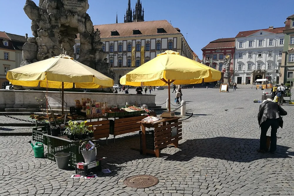 Zelňák opět žije. Na znovuotevřených trzích nakupují lidé od pondělí sazenice a zeleninu