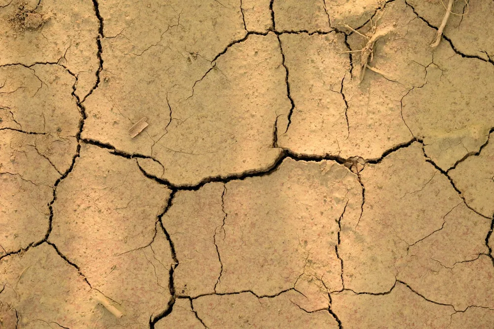 ilustrační foto