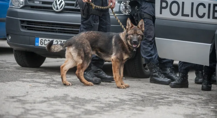 Ilustrační foto