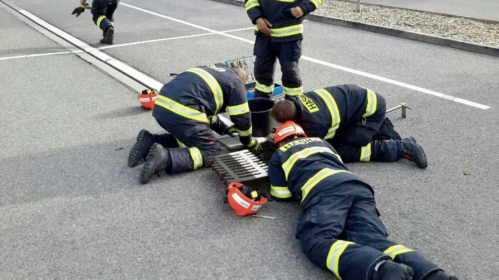 Káčata skončila v kanále, do přírody je zpět pustili hasiči