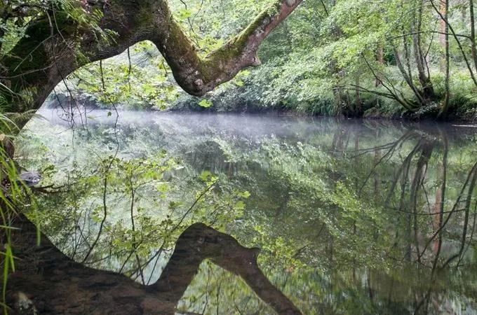 Lužní les u Břeclavi, kudyznudy.cz