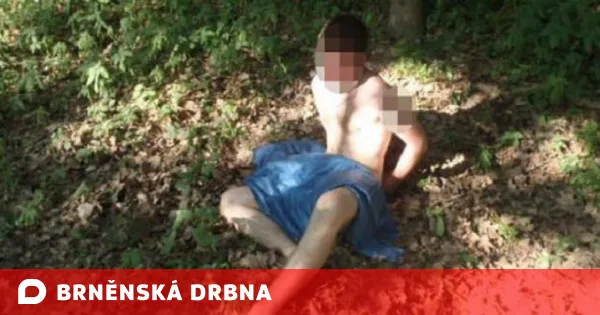 Ilustrační foto