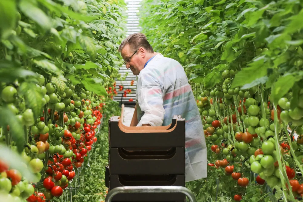 Rodinné farmě z Brna hrozí kvůli územnímu plánu zánik. Farmáři shání podpisy do petice