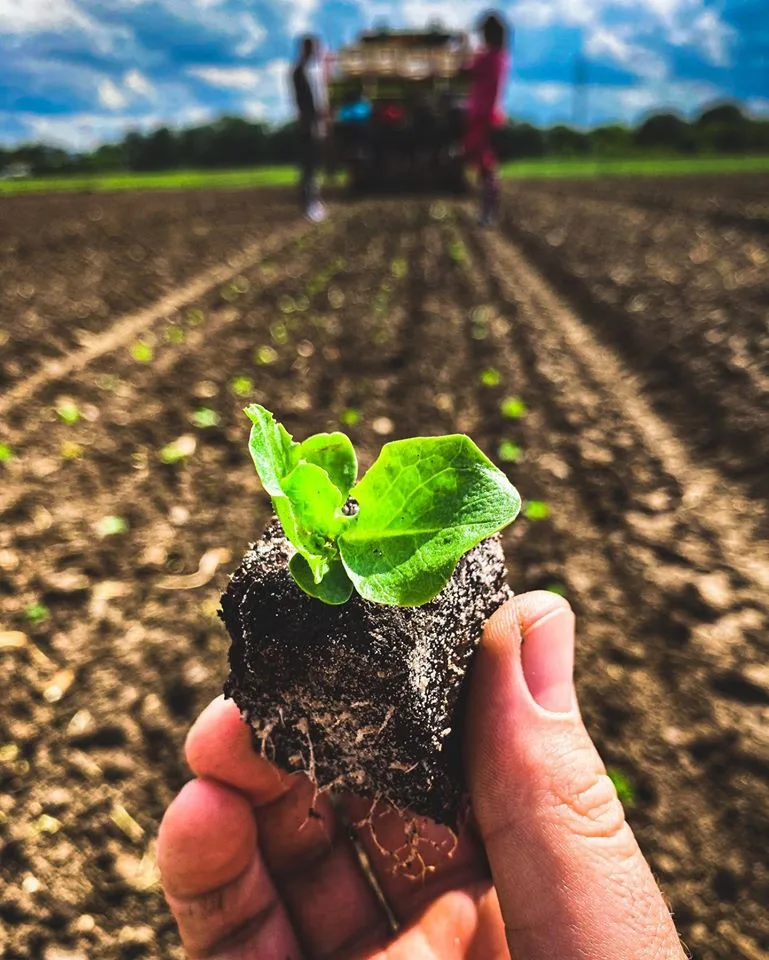 Rodinné farmě z Brna hrozí kvůli územnímu plánu zánik. Farmáři shání podpisy do petice