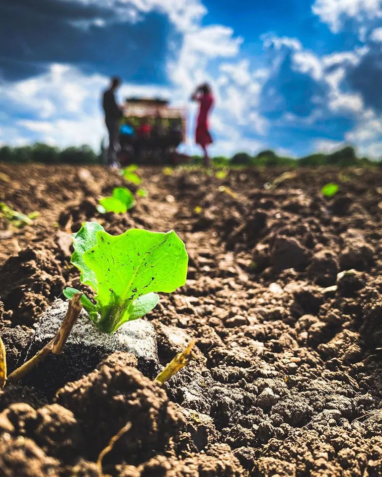 Rodinné farmě z Brna hrozí kvůli územnímu plánu zánik. Farmáři shání podpisy do petice