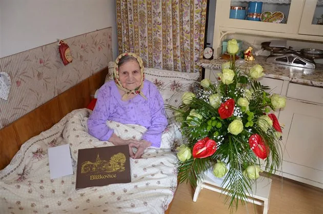 blížkovice marie holikova