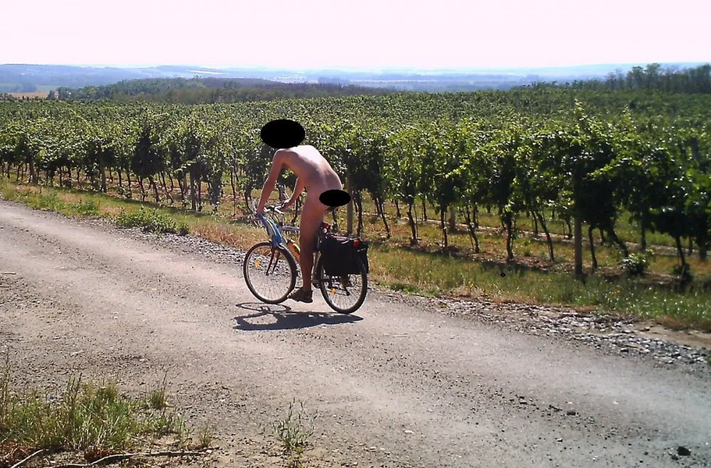 Moravští vinaři umisťují na své vinohrady fotopasti, místo zlodějů vína občas zachytí velmi bizarní situaci, například nahatého cyklistu projíždějícího vinicemi vinařství Lahofer