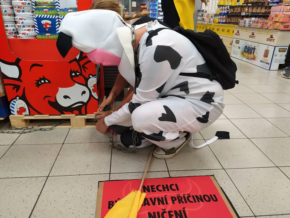 FOTO/VIDEO: Aktivisté v maskách zaplnili Vaňkovku. Chtěli upozornit na odlesňování pralesů kvůli živočišnému průmyslu