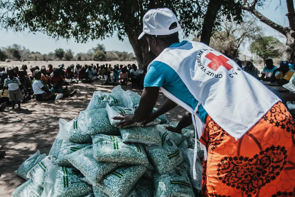 IFRC).