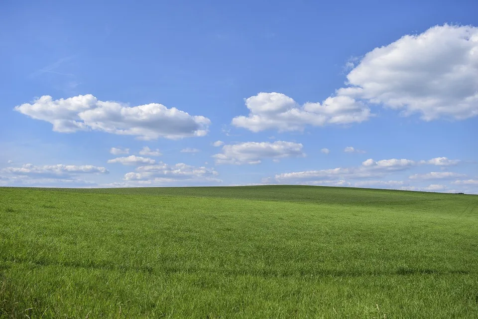 ilustrační foto