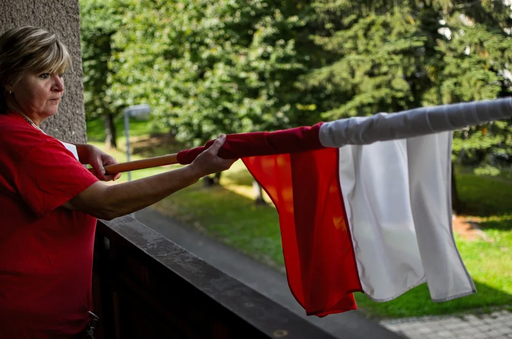 VOLBY 2020: Na jižní Moravě vyhrává ANO s necelými 20 procenty, senátní volby už znají postupující do druhého kola