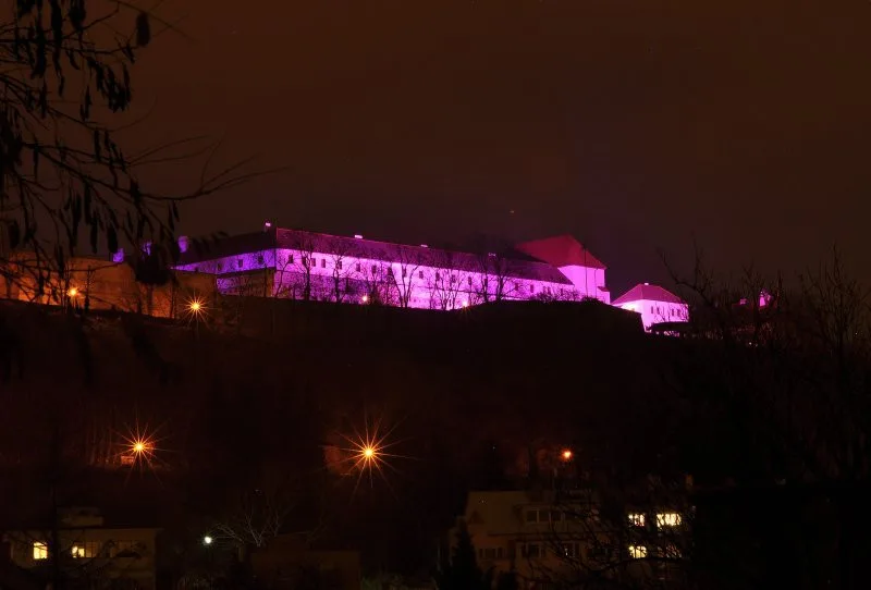 Špilberk se purpurově rozsvítí pro nedonošené děti