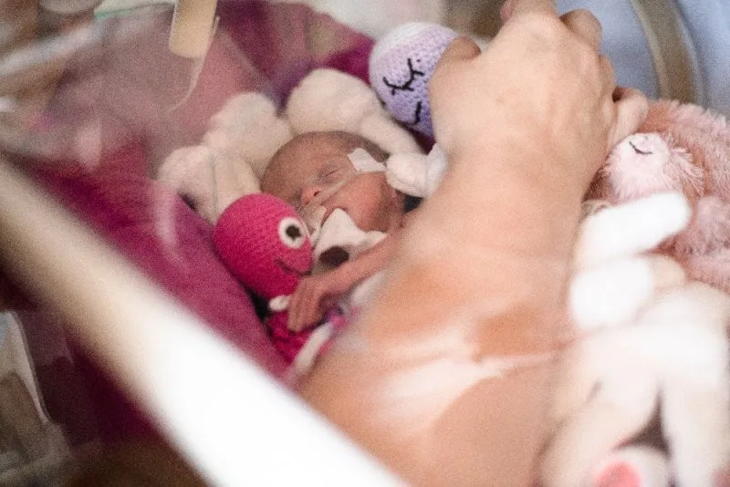 Špilberk se v pondělí purpurově rozzáří, barvou králů připomene Světový den předčasně narozených dětí