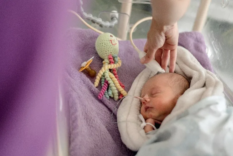 Špilberk se v pondělí purpurově rozzáří, barvou králů připomene Světový den předčasně narozených dětí