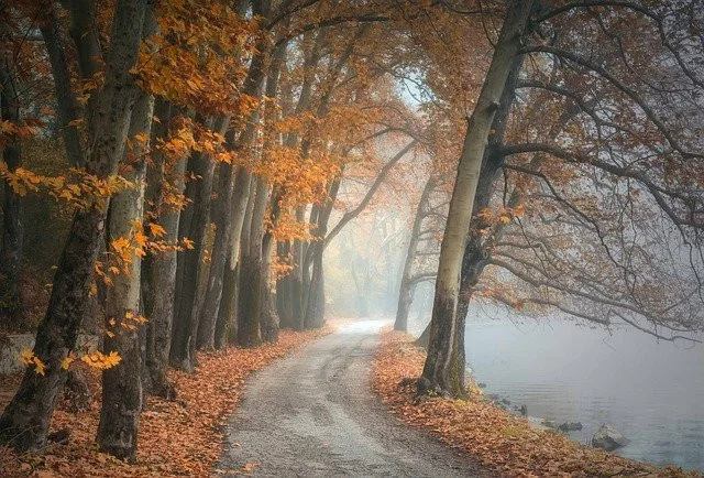 Ilustrační foto