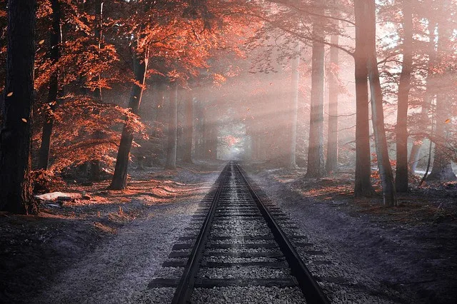 Ilustrační foto