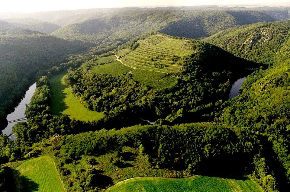 Vinařství Šobes, foto: Wine of Czech Republic