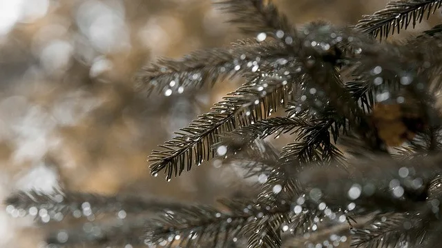 Počasí na pátek. Zdroj: Pixabay