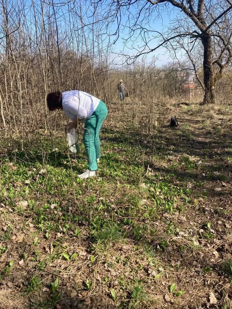 česneknovotná