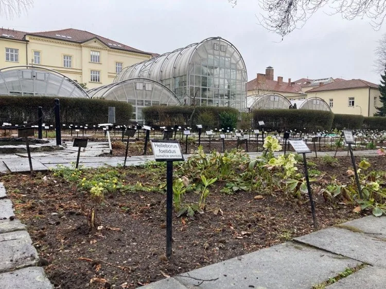 Botanická zahrada Masarykovy univerzity zahájila novou sezónu