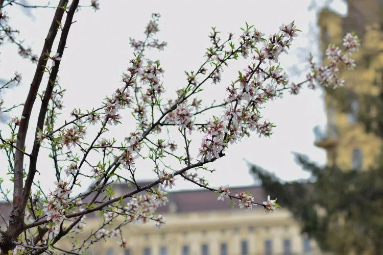 Botanická zahrada Masarykovy univerzity zahájila novou sezónu