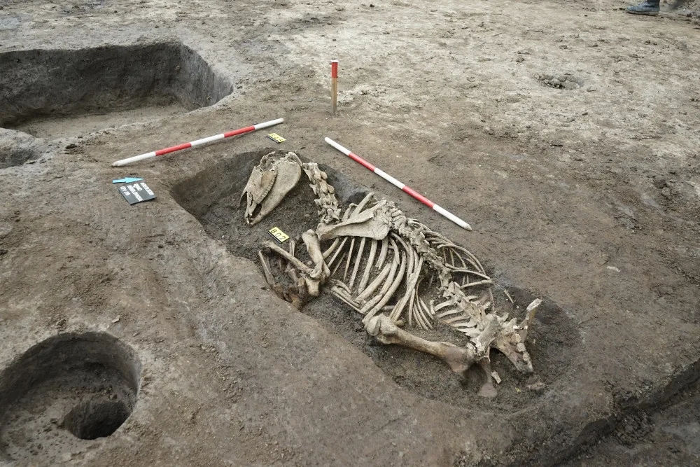 Archeology v centru Brna překvapily ostatky pohřbených koní